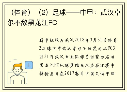 （体育）（2）足球——中甲：武汉卓尔不敌黑龙江FC